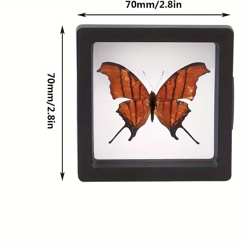 20 Stück Clearview 3D schwimme – Display Case Acrylic Bewertung und Preis